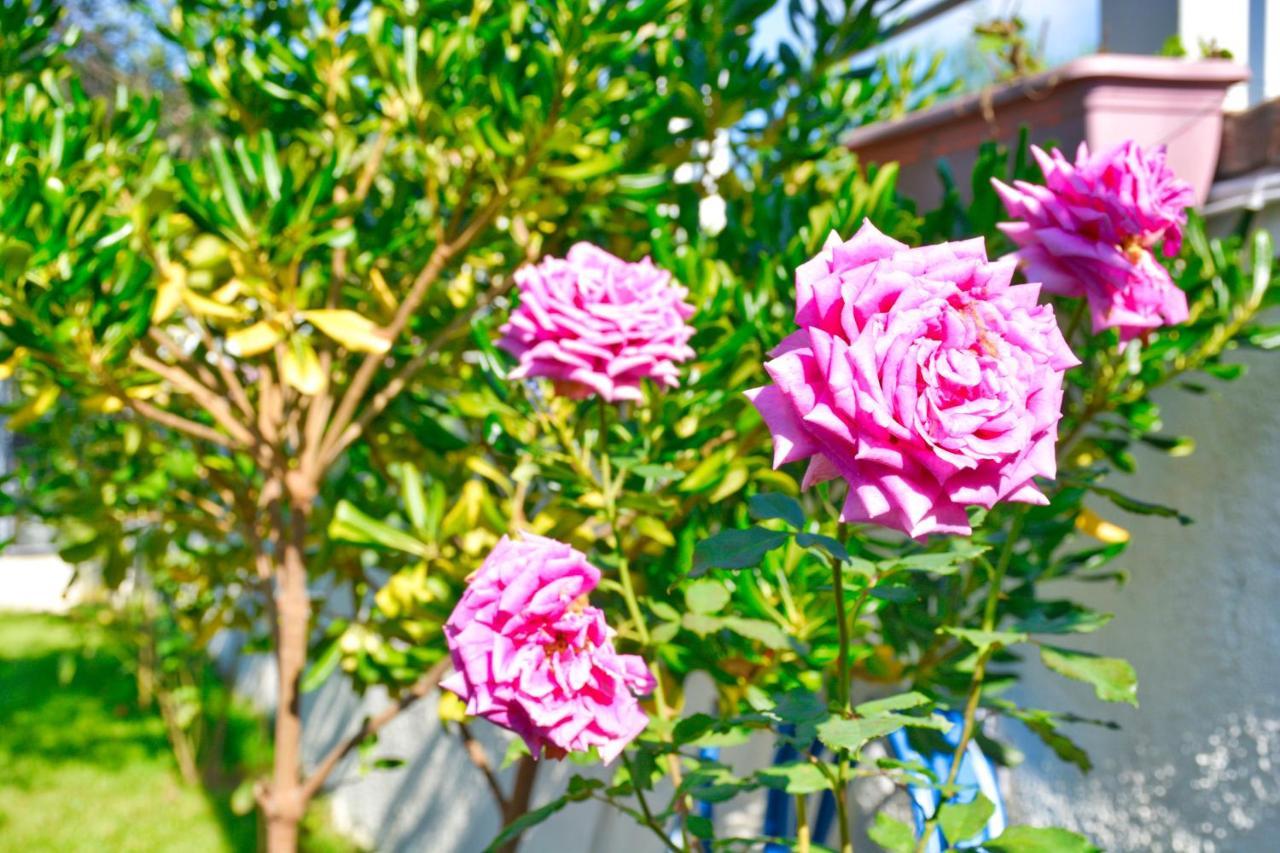 Ninas Cottage Línia Екстериор снимка